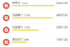 嘉鱼讨债公司